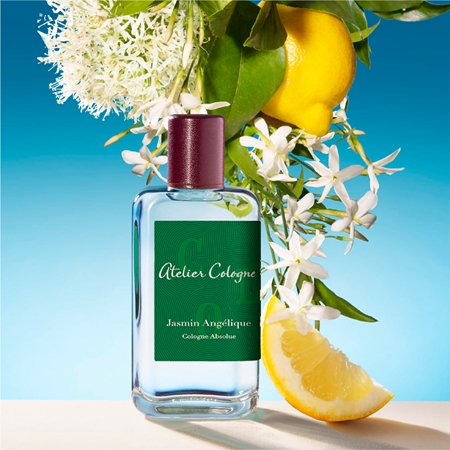 Jasmin Angélique Cologne Absolue