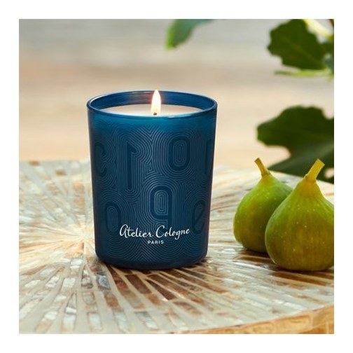 Bougie parfumée Figuier Andalou