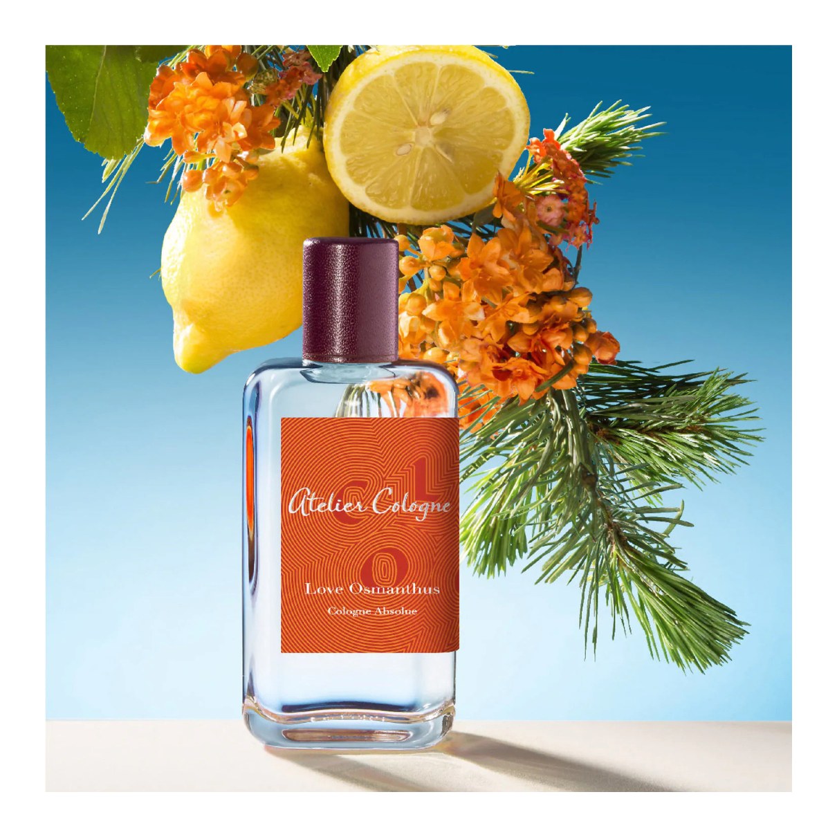 Love Osmanthus Cologne Absolue Pure Parfum