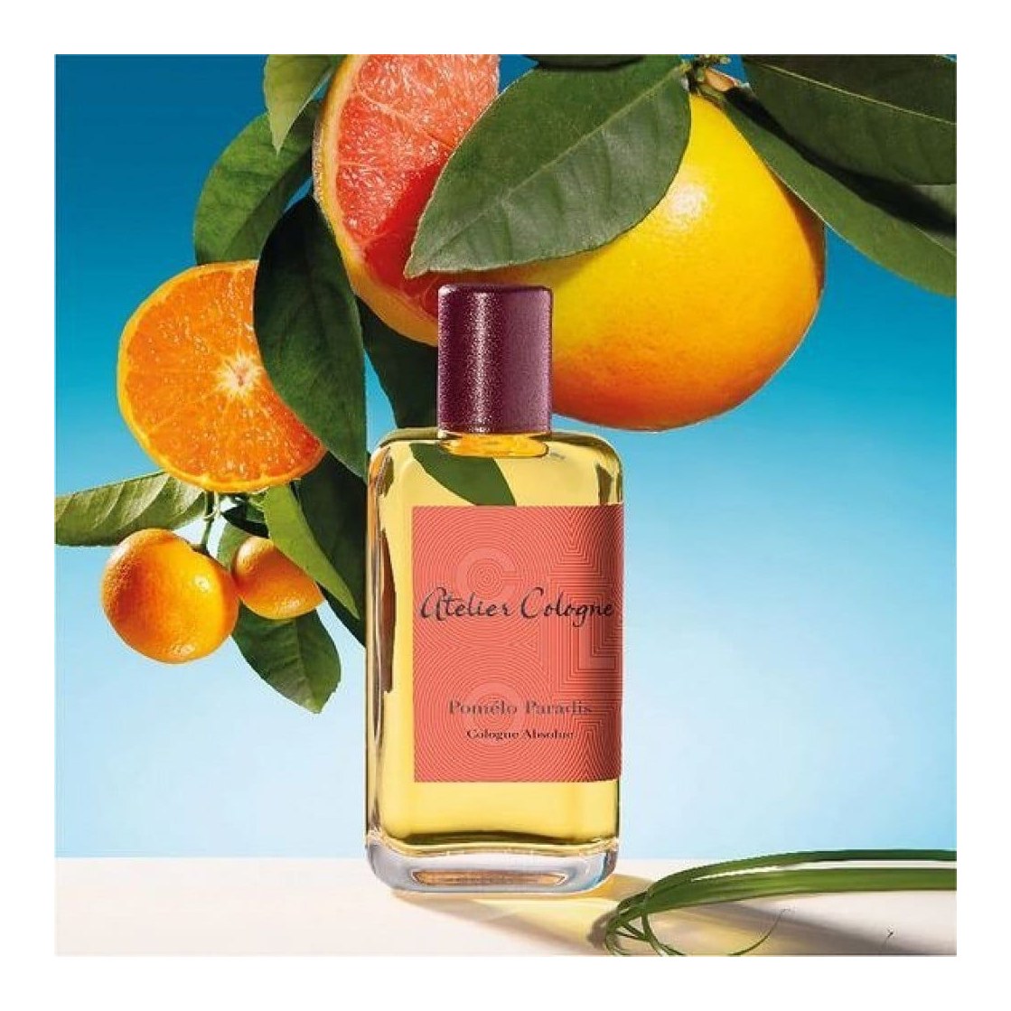 Pomélo Paradis Cologne Absolue (Pure Perfume)